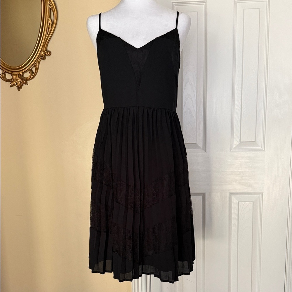 Express pleated chiffon /tulle/lace lined Fairy whimsygoth sheer vamp dark NWT